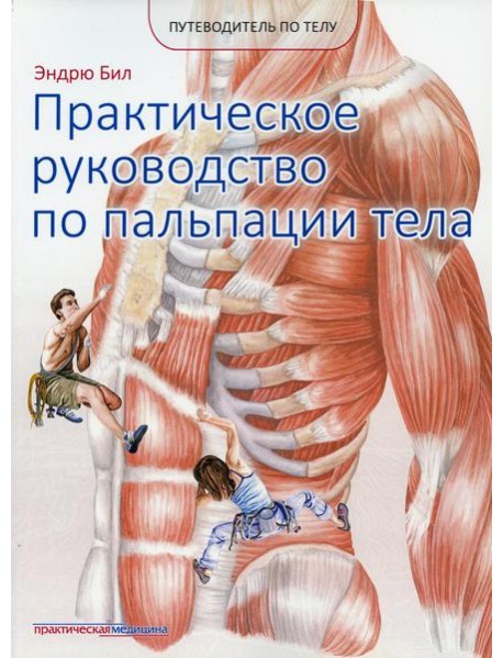 Практическое руководство по пальпации тела