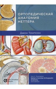 Ортопедическая анатомия Неттера
