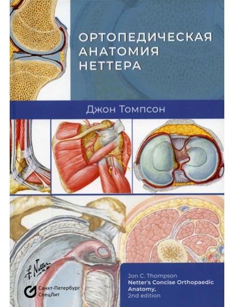Ортопедическая анатомия Неттера