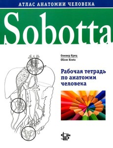 Sobotta. Рабочая тетрадь по анатомии человека Sobotta. Рабочая тетрадь по анатомии человека