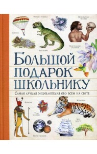 Большой подарок школьнику