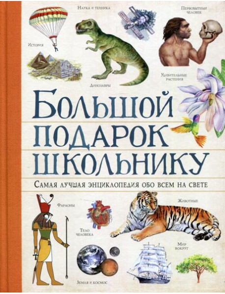 Большой подарок школьнику