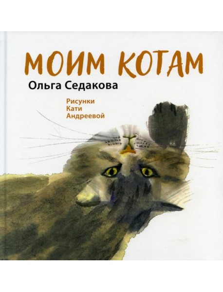 Моим котам