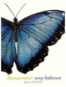Загадочный мир бабочек. Энциклопедия