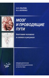 Мозг и проводящие пути. Анатомия человека в схемах и рисунках: Учебное пособие