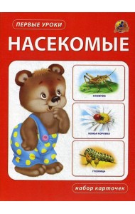 Насекомые. Набор карточек