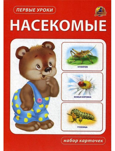 Насекомые. Набор карточек