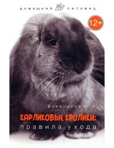 Карликовые кролики. Правила ухода