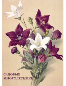 Набор открыток. Садовые многолетники