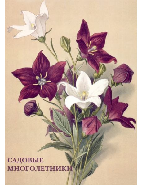 Набор открыток. Садовые многолетники