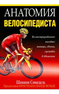 Анатомия велосипедиста