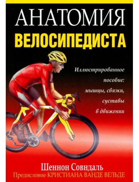 Анатомия велосипедиста