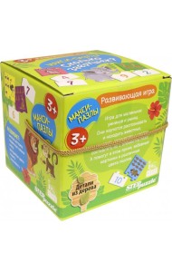 89848 Разв. игра 