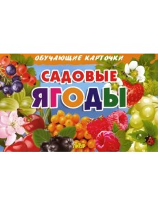 Комплект карточек. Садовые ягоды Комплект карточек. Садовые ягоды