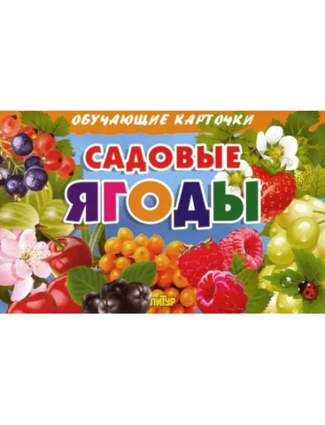 Комплект карточек. Садовые ягоды 