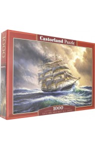 Puzzle-1000 C-104529 Шторм