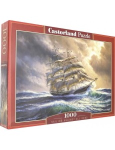 Puzzle-1000 C-104529 Шторм
