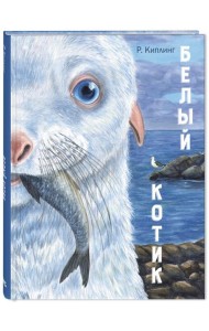 Белый котик