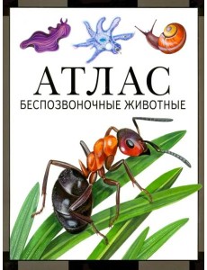 Атлас. Беспозвоночные животные
