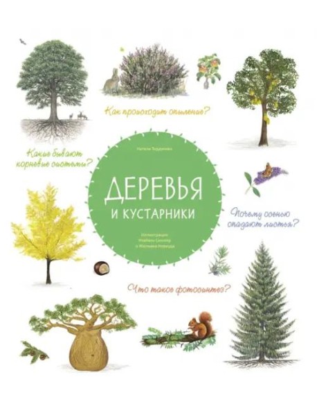 Деревья и кустарники