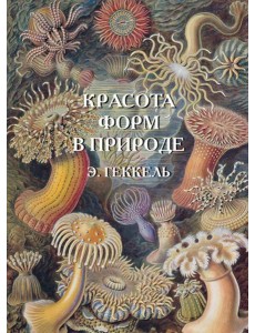 Красота форм в природе. Э. Геккель Красота форм в природе. Э. Геккель