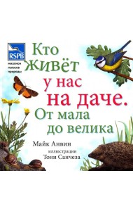Кто живет у нас на даче. От мала до велика