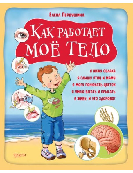 Как работает мое тело