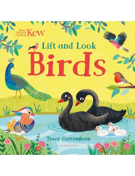 Kew: Lift and Look Birds