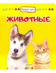 Животные Животные