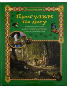 Прогулки по лесу Прогулки по лесу