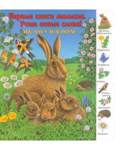 На лугу и в поле. Виммельбух