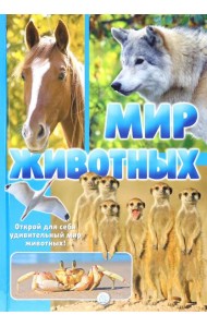 Мир животных. Открой для себя удивительный мир животных!
