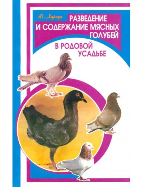 Разведение и содержание мясных голубей в родовой усадьбе