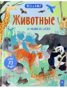 Что и как/Животные: от мыши до слона Что и как/Животные: от мыши до слона