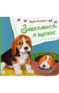 Знакомься, я щенок