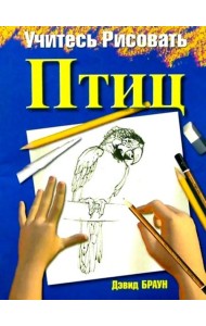 Учитесь рисовать птиц