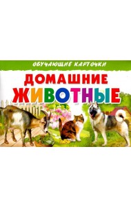 Домашние животные. Обучающие карточки
