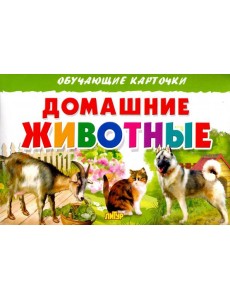 Домашние животные. Обучающие карточки Домашние животные. Обучающие карточки