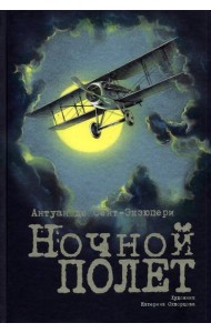 Ночной полет