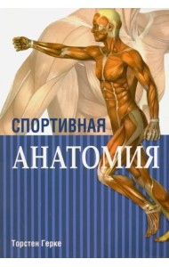 Спортивная анатомия