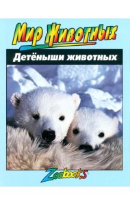 Детеныши животных