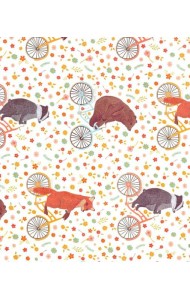 Бумага упаковочная 48*69,№05,2листа,00265