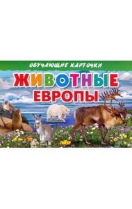 Животные Европы