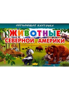 Животные Северной Америки Животные Северной Америки