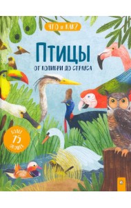 Птицы. От колибри до страуса