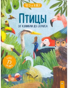 Птицы. От колибри до страуса