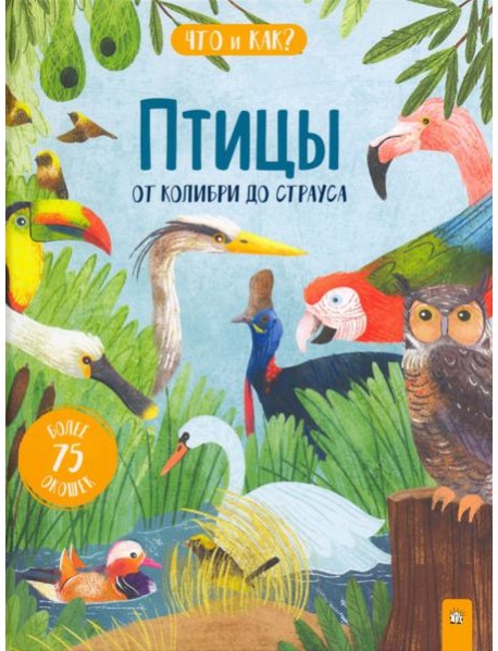 Птицы. От колибри до страуса