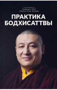 Практика Бодхисаттвы