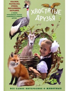 Хвостатые друзья