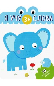 Я учу слова. 3+